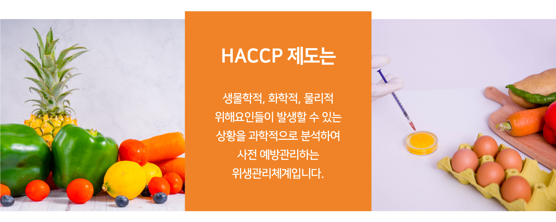 HACCP1-1-1